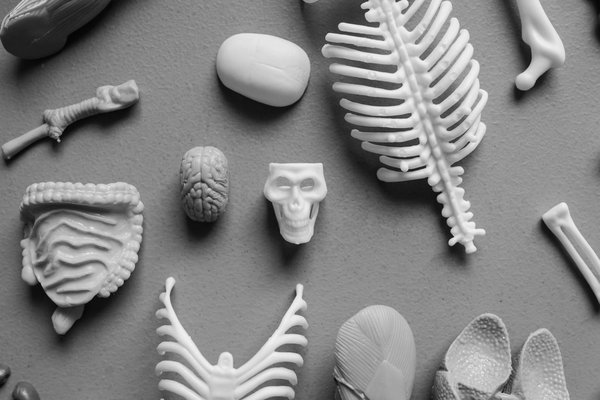 Explorez les incroyables avantages des graines de courge pour améliorer la santé de votre prostate !